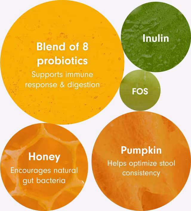 Premium Chocolate pack