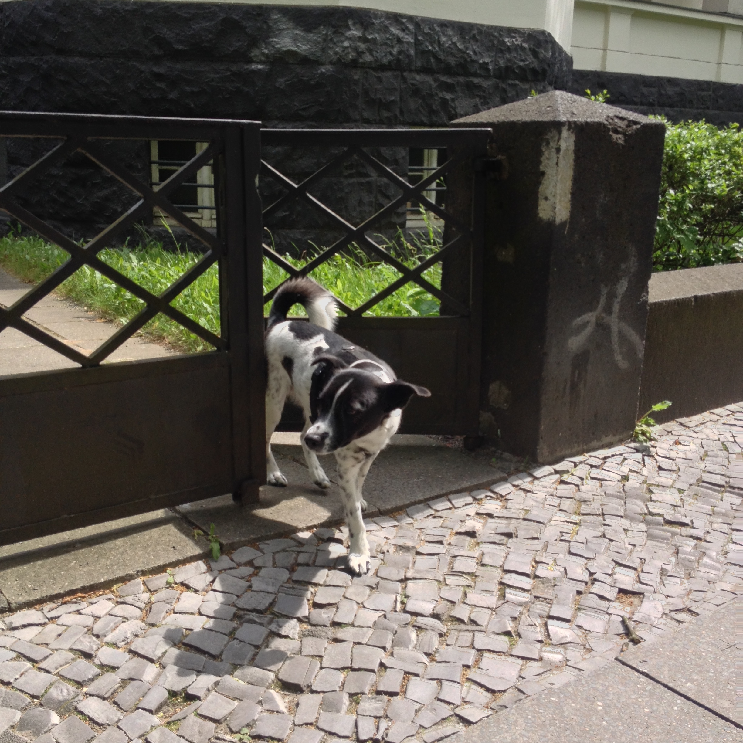 Eric's store 47 eeeeeeeeeeeeeeeeeeeeeeeeeeeeeeeeeeeeeeeee